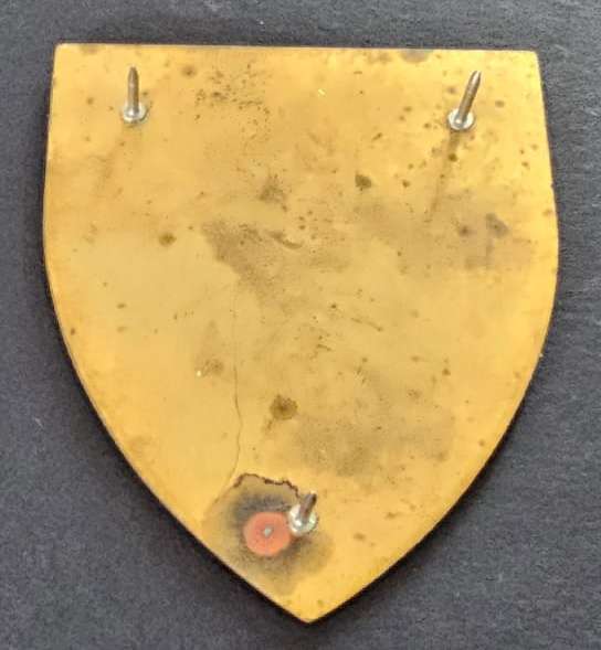 SADF - Wits Provost Shoulder Flash