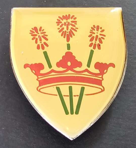 SADF - Victoria West Commando Shoulder Flash