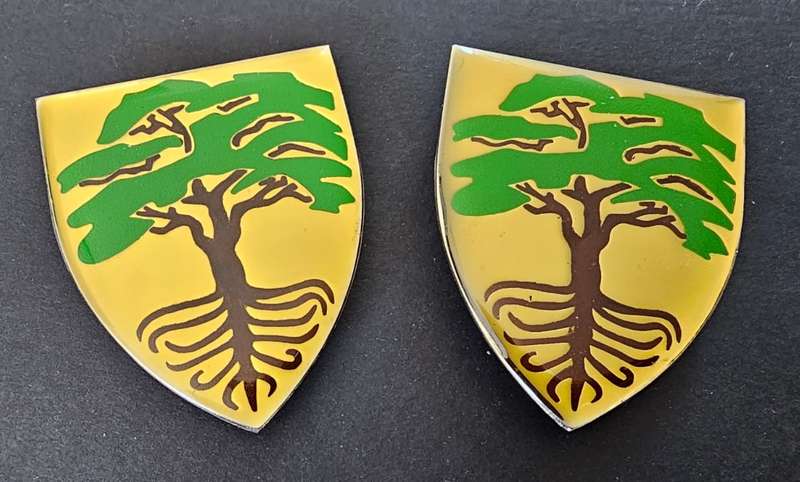 SADF - Goosen Commando Shoulder Flash Pair