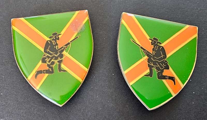 SADF - Danie Theron Combat School Shoulder Flash Pair