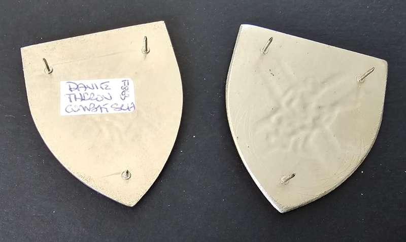 SADF - Danie Theron Combat School Shoulder Flash Pair