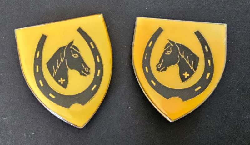 SADF - Equestrian Center Shoulder Flash Pair
