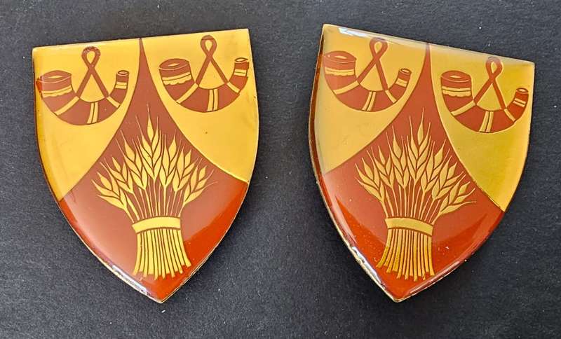 SADF - Wepenaar Commando Shoulder Flash Pair
