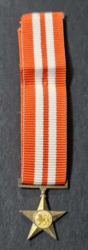 Umkhonto we Sizwe (MK) - Miniature Star for Bravery ( Gold )