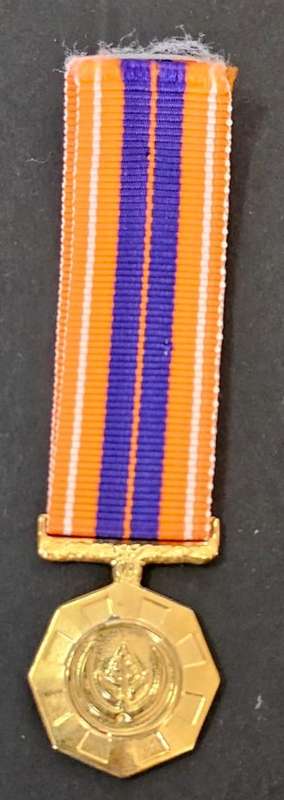 SADF - Miniature Pro Patria Medal ( Missing the Lucite )