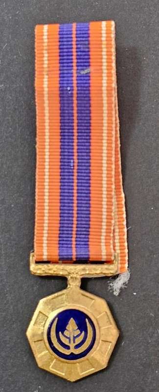 SADF - Miniature Pro Patria Medal