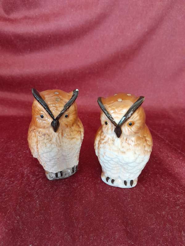 Pair of owls salt & pepper shakers