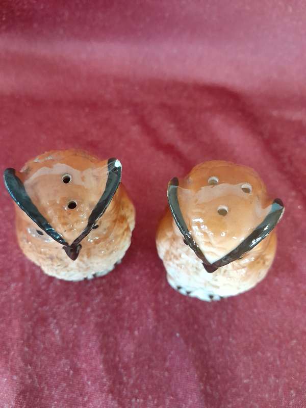 Pair of owls salt & pepper shakers