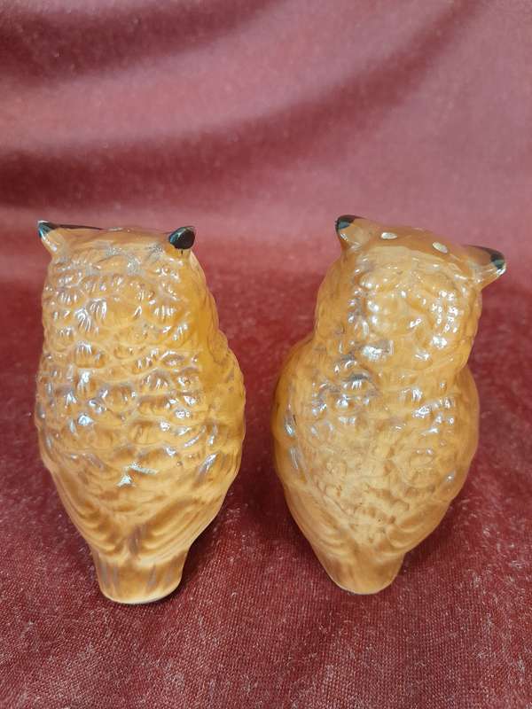 Pair of owls salt & pepper shakers