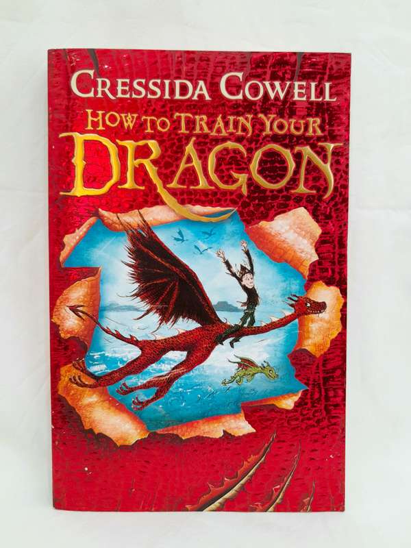 How to Train your Dragon Book