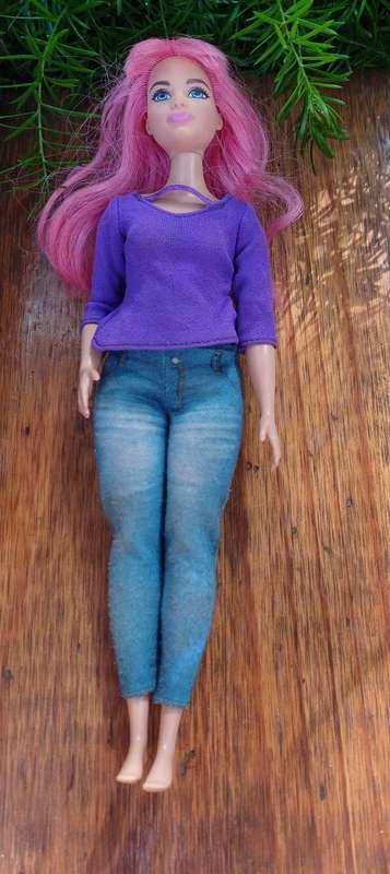 Barbie dreamhouse adventures doll