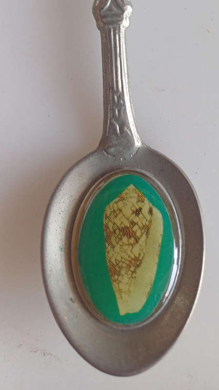 Waenhuiskraal souvenir spoon
