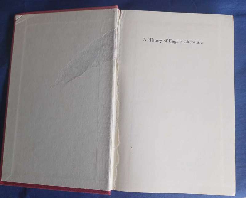 A history of English literature by E Albert