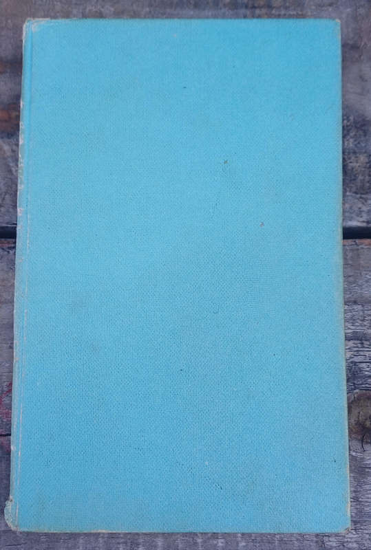 Erfgenaam vir Nuutbegin deur Nelmari Kock