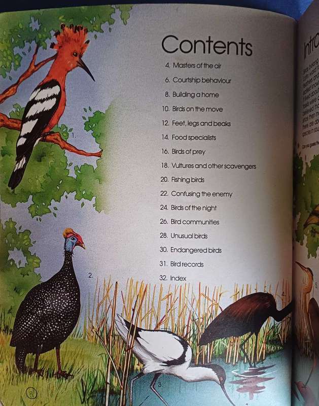 Birds of Southern Africa