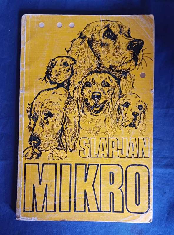 Slapjan deur Mikro