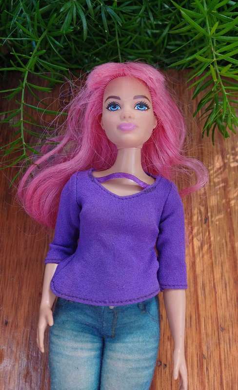 Barbie dreamhouse adventures doll