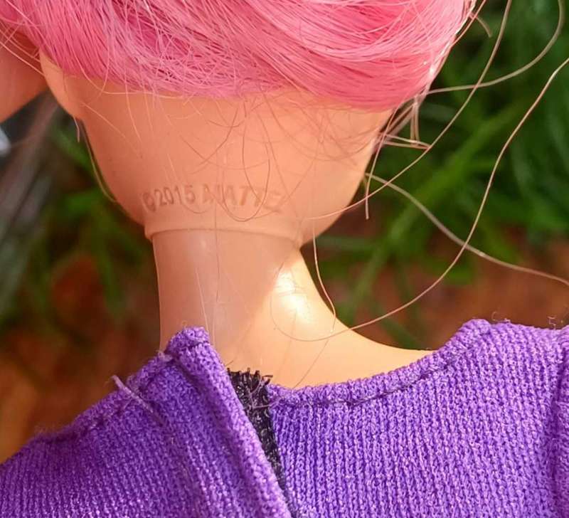 Barbie dreamhouse adventures doll