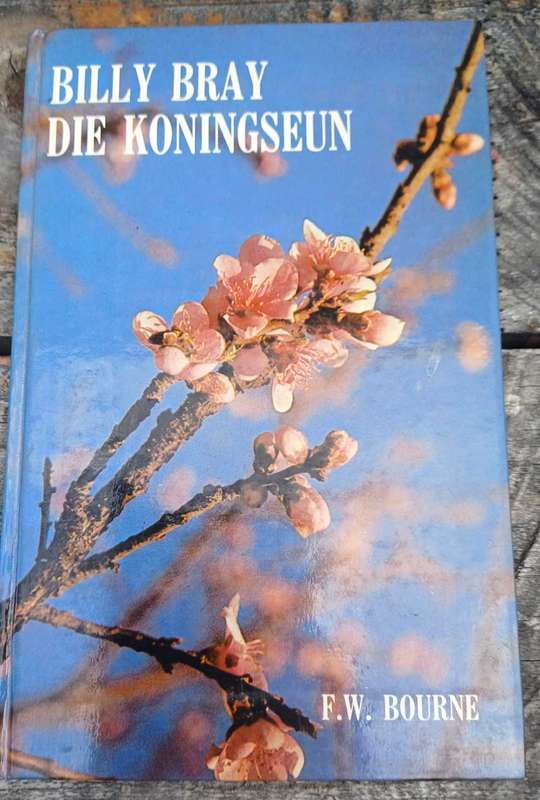 Billy Bray die Koningseun deur FW Bourne