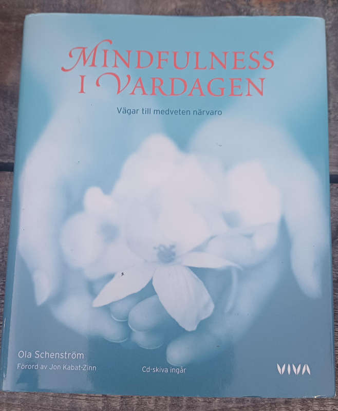 Mindfulness I Vardagen