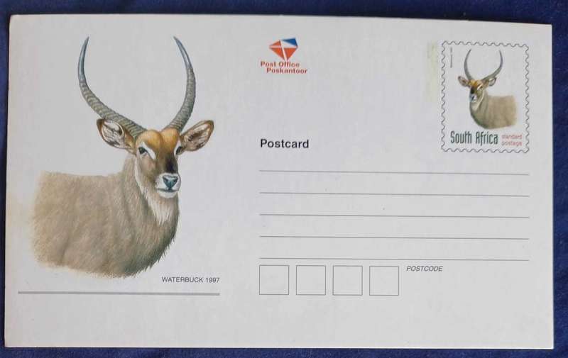 Waterbuck1997 postcard