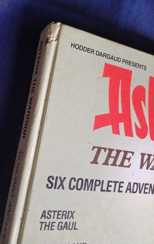 Asterix the warrior