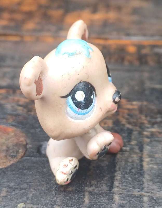 LPS toy