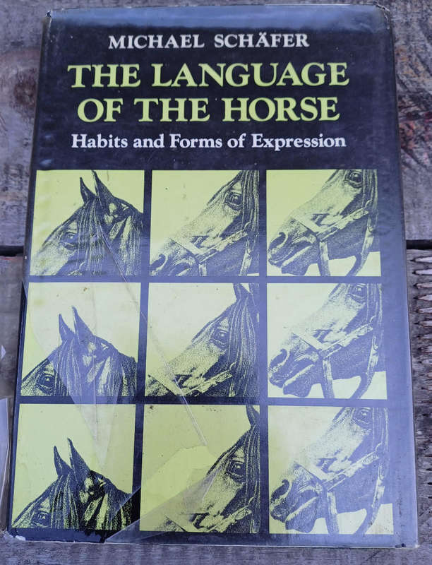 The language of the horse by Michael Schafer