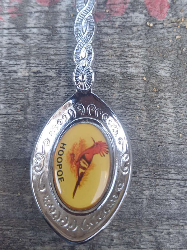 Skukuza souvenir spoon