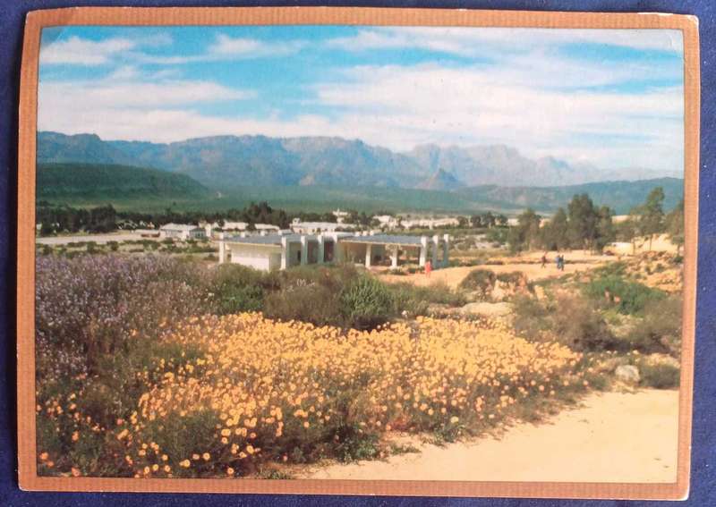 Ramskop veldblommetuin Clanwilliam postcard