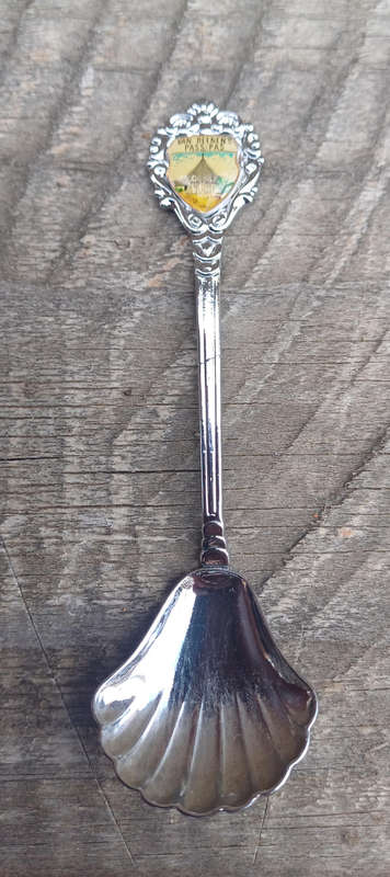Van Reenens pass souvenir spoon
