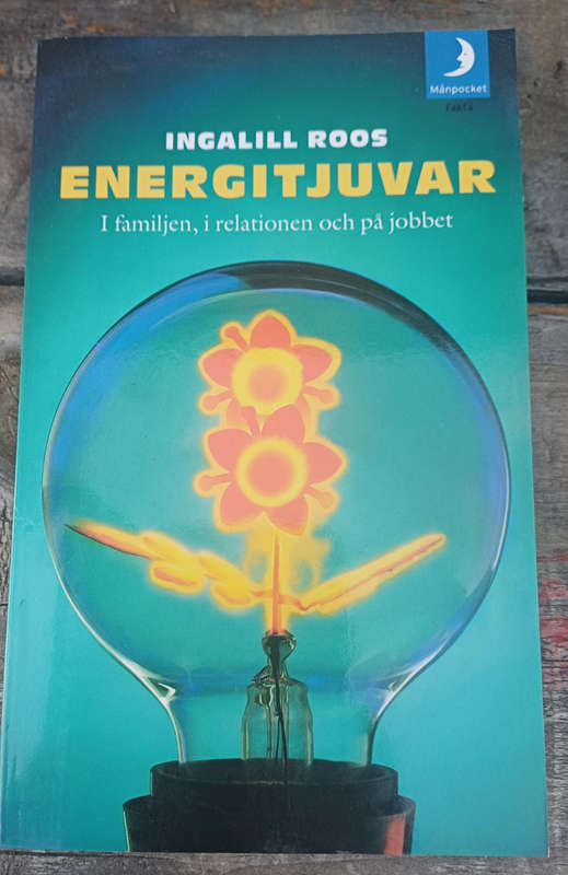 Energitjuvar - Ingalill Roos