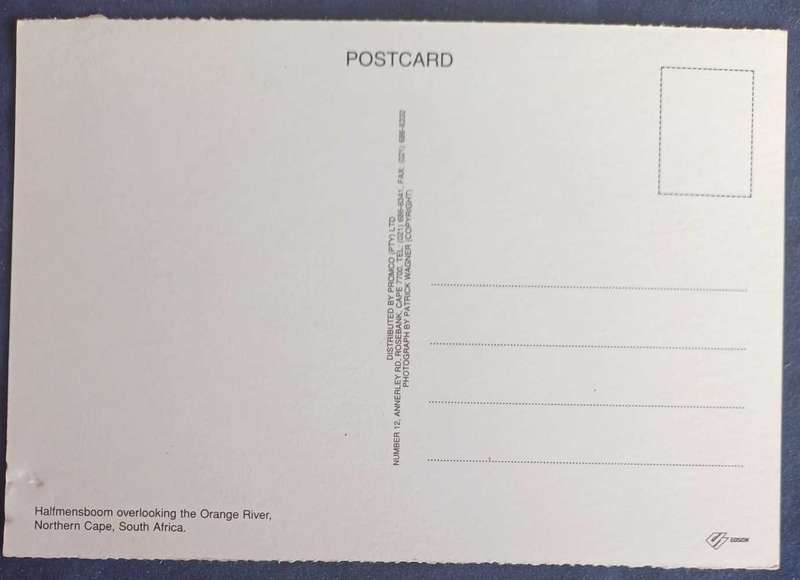 Halfmensboom postcard