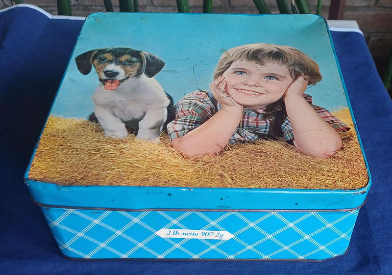 Vintage Pyotts biscuits tin