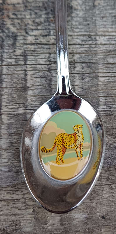 Willem Pretorius souvenir spoon