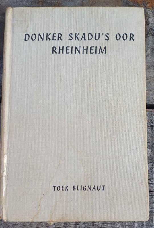 Donker skadu's oor Rheinheim deur Toek Blignaut