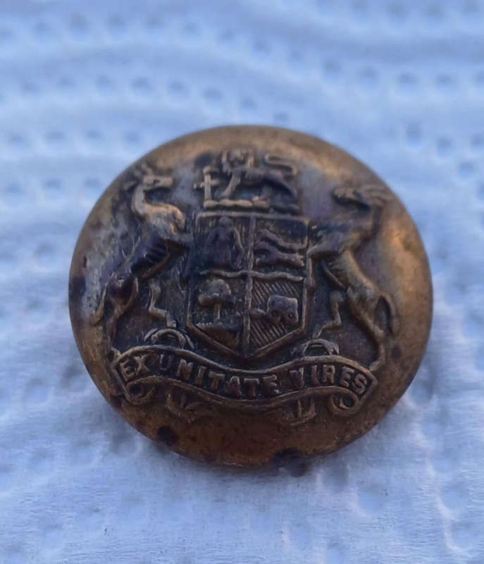 Ex unitate vires button