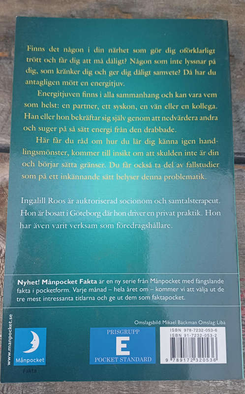 Energitjuvar - Ingalill Roos