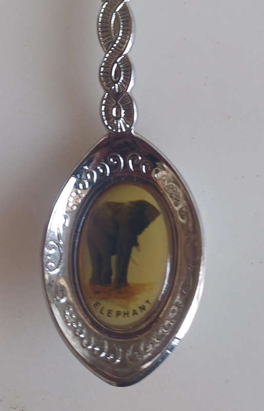 Sun International souvenir spoon