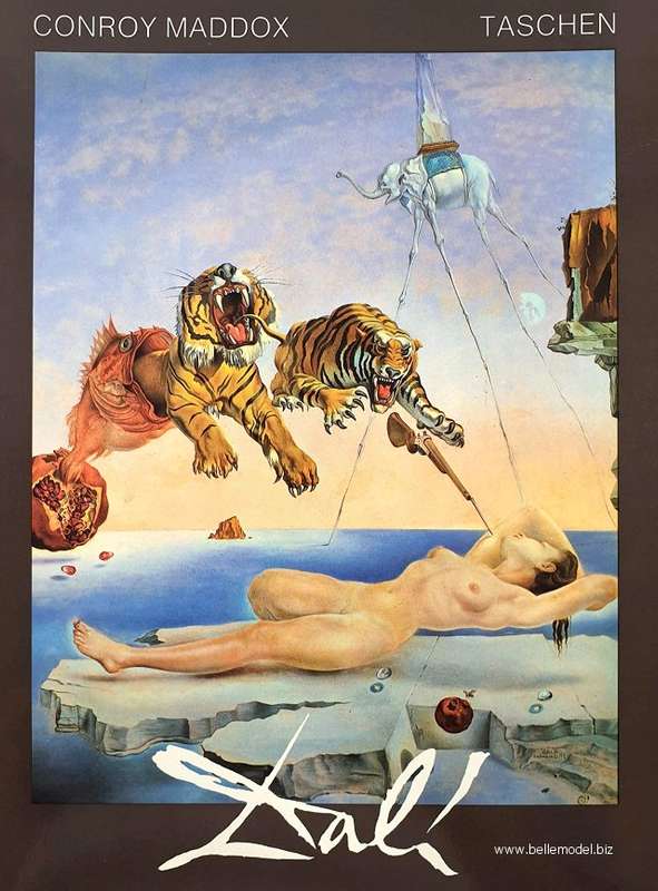 Book: Salvador Dali by Conroy Maddox