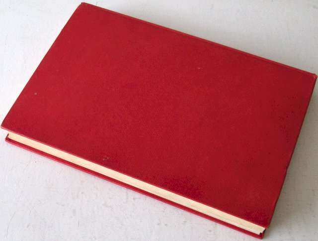 Books - Helene de Villiers - Johannes die koningseun