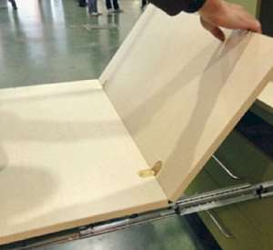 Hinges and latches - Back flap - lumbar - edges - round
