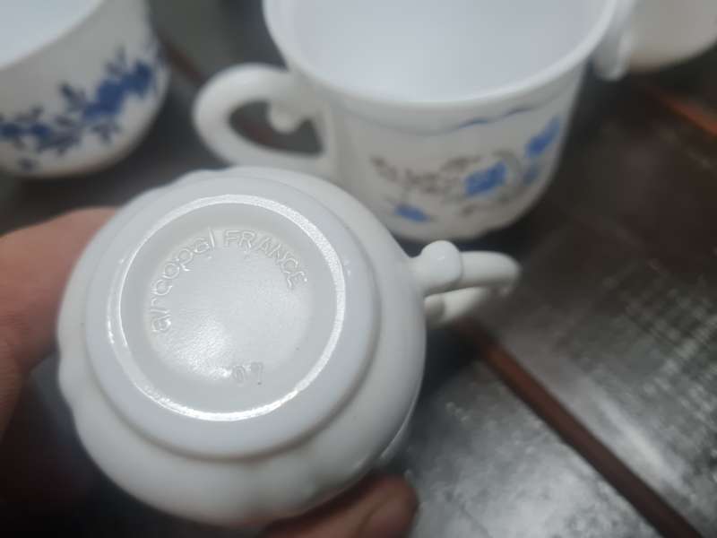 Vintage Arcopal France set