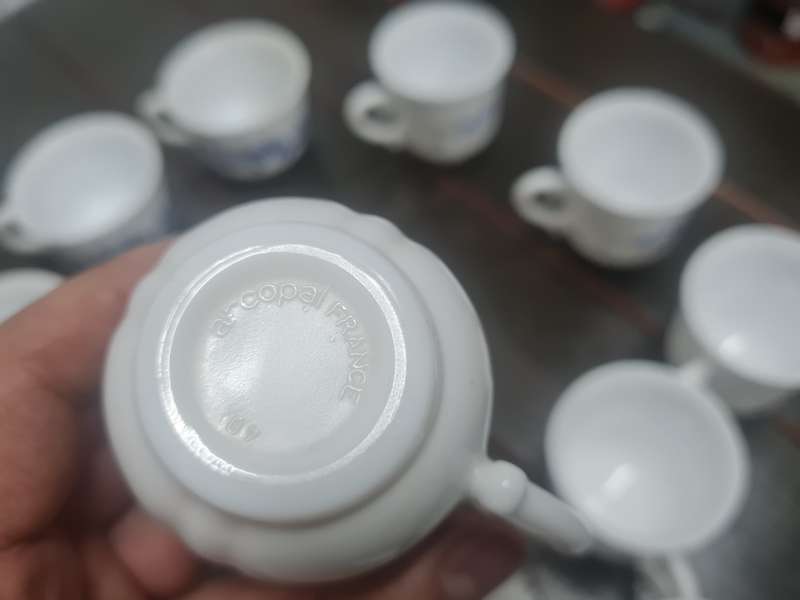 Vintage Arcopal France set