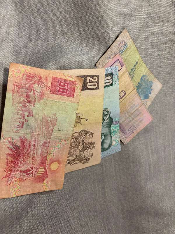 SOUTH AFRICAN BANK NOTES (SET)