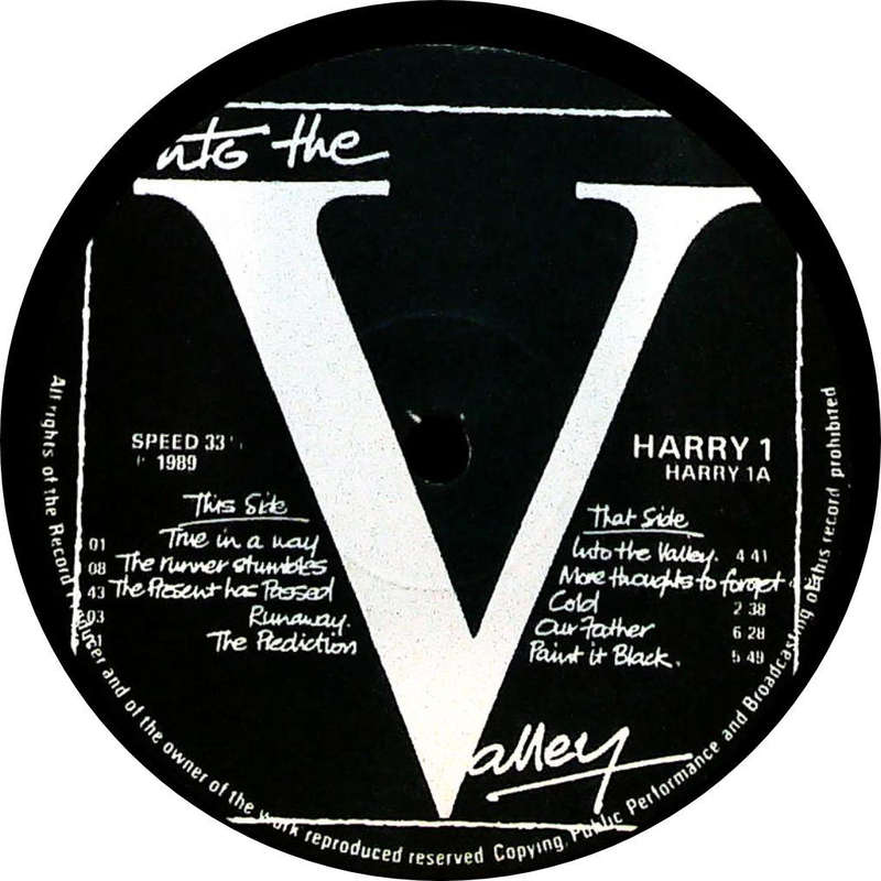 NO FRIENDS OF HARRY - Into The Valley - South African Vinyl - HARRY1