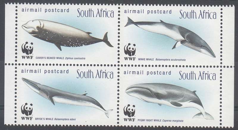 RSA 1988: WHALES OF THE SOUTHERN OCEAN SETENANT BLOCK MNH (SACC 1172-1175)
