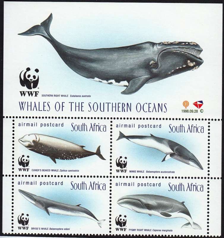 RSA 1988:WHALES OF THE SOUTHERN OCEAN CONTROL BLOCK MNH (SACC 1172-1175)