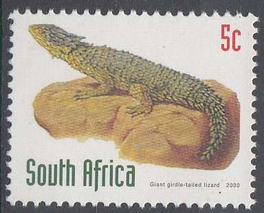 RSA 2000: 6th DEFINITIVE REDRAWN ISSUE 5c MNH (SACC 1155a) - PURE WHITE PAPER