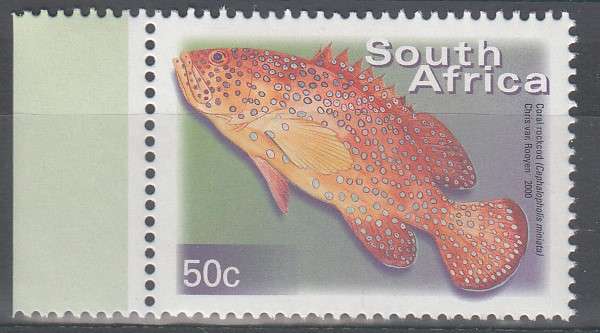 RSA 2000: 7th DEFINITIVE ISSUE 50c  MNH (SACC 1298a)